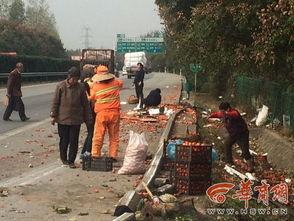 杞县柿园车祸最新爆料消息,悲剧现场细节披露，调查深入进行中  第3张